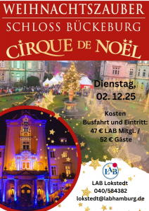 Weihnachtsmarkt Bückeburg(2)